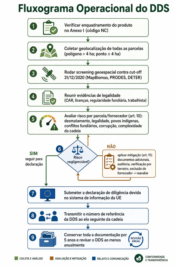 Fluxograma operacional do sistema de due diligence (DDS) do EUDR em nove passos: 1) verificar enquadramento do produto no Anexo I (código NC); 2) coletar geolocalização de todas as parcelas (polígono > 4 ha; ponto ≤ 4 ha); 3) rodar screening geoespacial contra o cut-off de 31/12/2020 (MapBiomas, PRODES, DETER); 4) reunir evidências de legalidade (CAR, licenças, regularidade fundiária e trabalhista); 5) avaliar risco por parcela/fornecedor conforme o artigo 10; 6) decisão — se o risco for negligenciável, seguir para a declaração; se não, aplicar mitigação do artigo 11 e reavaliar; 7) submeter a declaração de diligência devida no sistema de informação da UE; 8) transmitir o número de referência da DDS ao elo seguinte da cadeia; 9) conservar a documentação por 5 anos e revisar o DDS ao menos anualmente